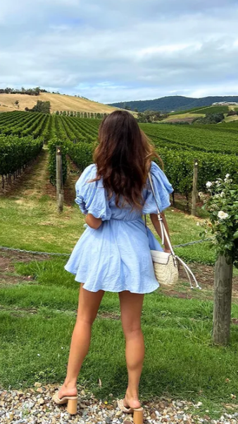 Adi Mini Dress - Blue
