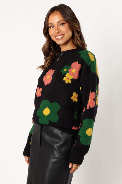Lexie Multi Color Flower Knit Sweater - Black Multi