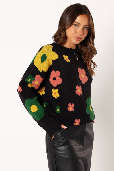 Lexie Multi Color Flower Knit Sweater - Black Multi