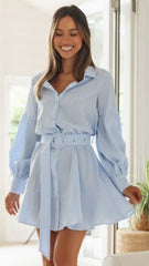 Blue Pinstriped Long Sleeves Mini Dress