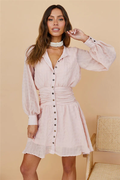 Blush Button Down Shirt Mini Dress